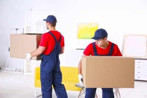 Team member reviewing modern slavery compliance documents for removals operations