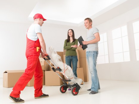 Professional man with a van in Finchley handling a small move